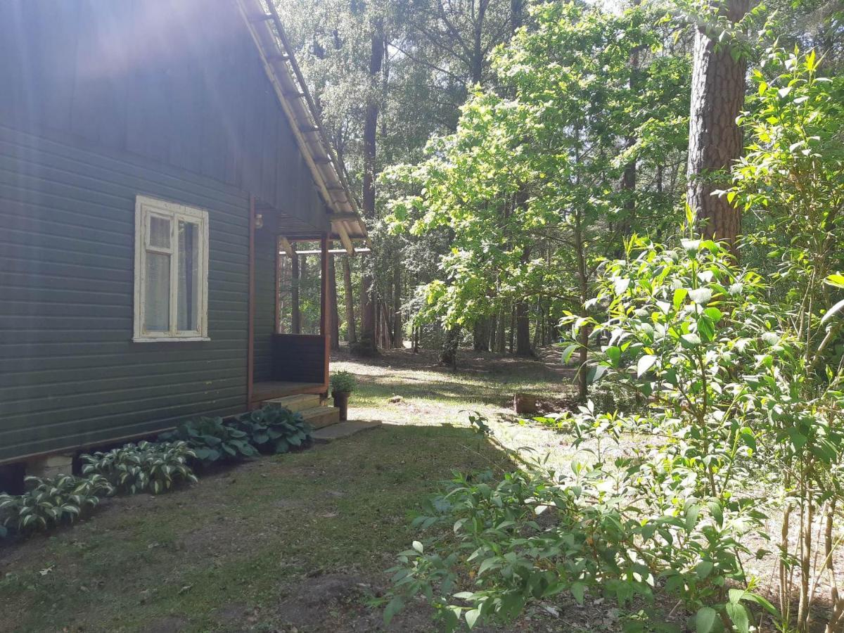 Asmonu Poilsiaviete Villa Kinty Exterior foto